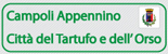 Tartufo di campoli Appennino