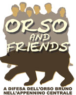 Orso and Friends