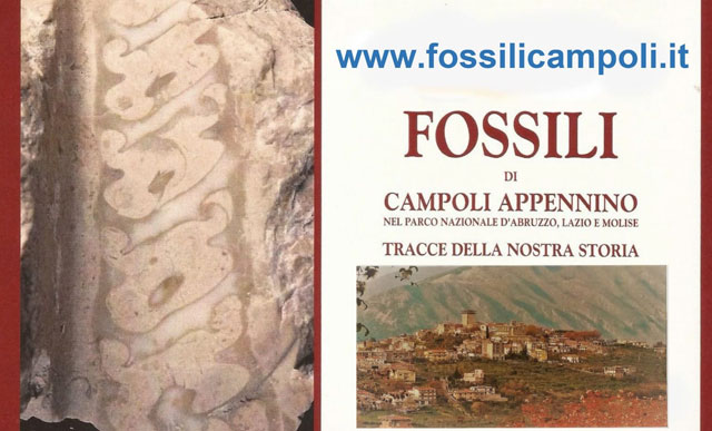 Fossili di Campoli Appennino