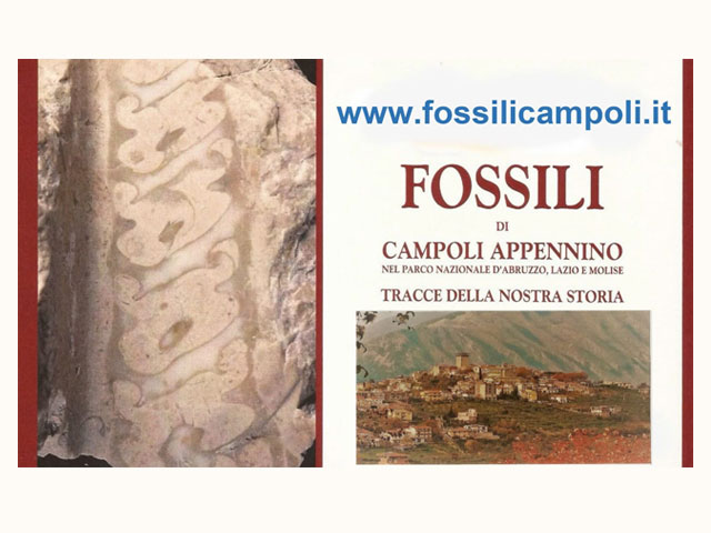 Fossili di Campoli Appennino