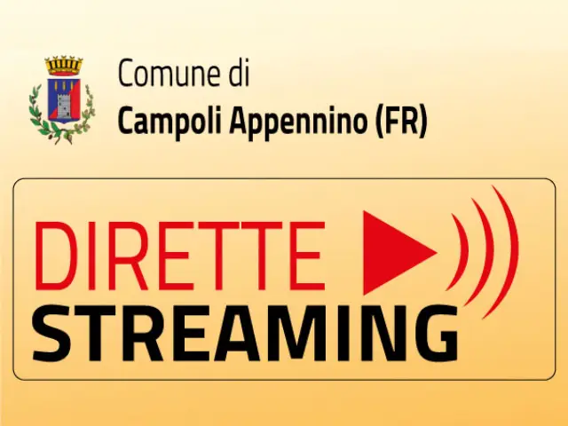 dirette -streaming consigli comunali